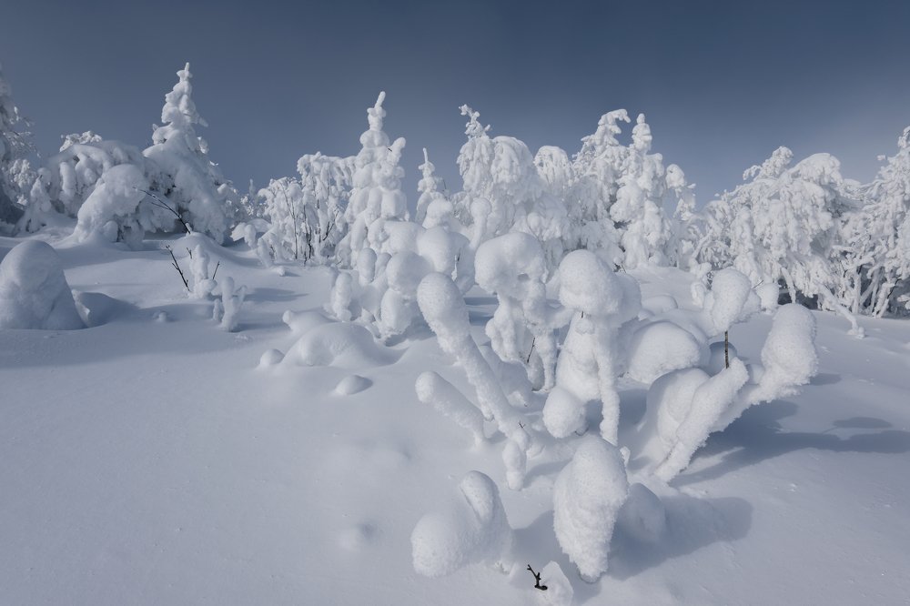 Photograph by Евгений Гецев