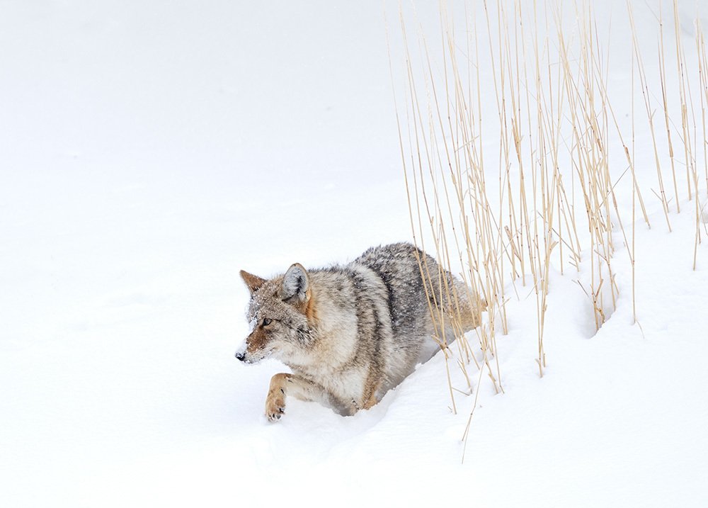 Photograph by PRINCE ELEAZER