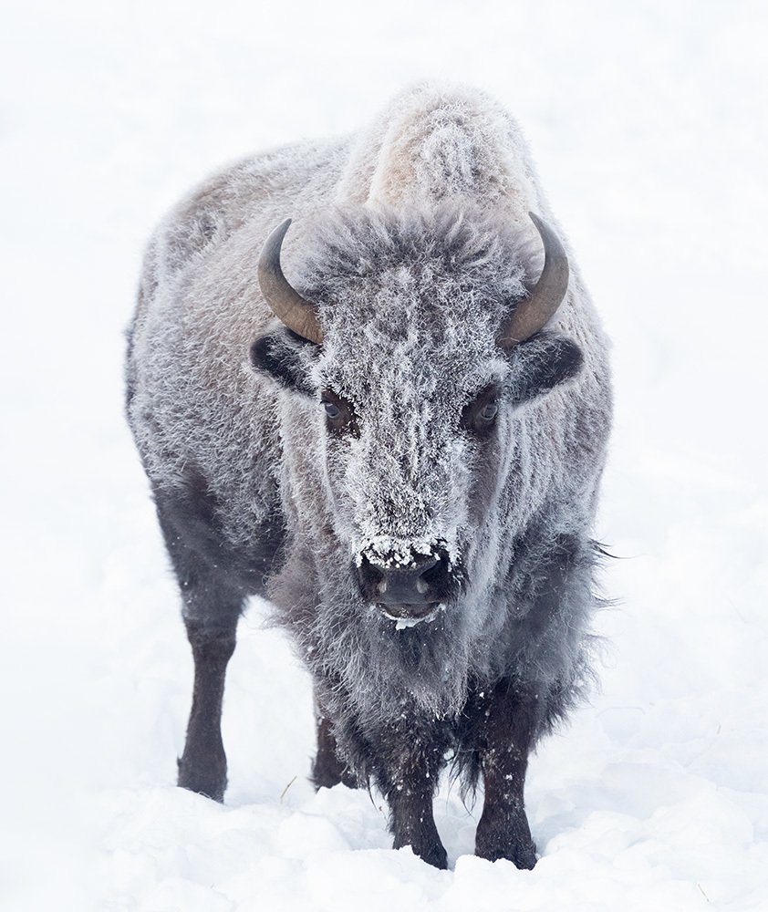 Photograph by PRINCE ELEAZER