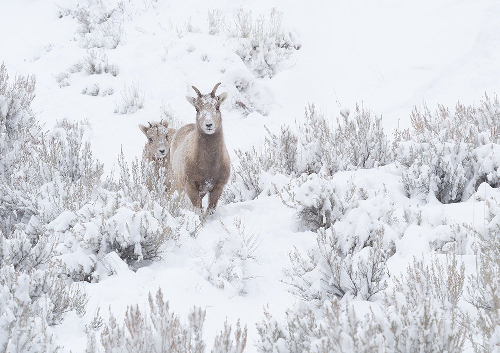 Photograph by PRINCE ELEAZER