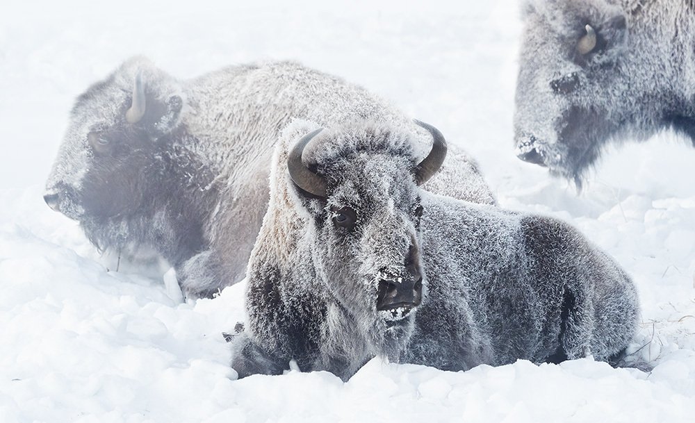 Photograph by PRINCE ELEAZER