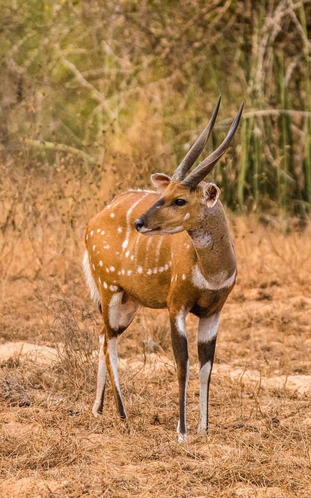 Photograph by Marcus Frazão