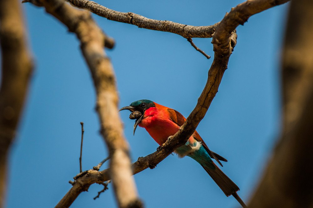Photograph by Marcus Frazão