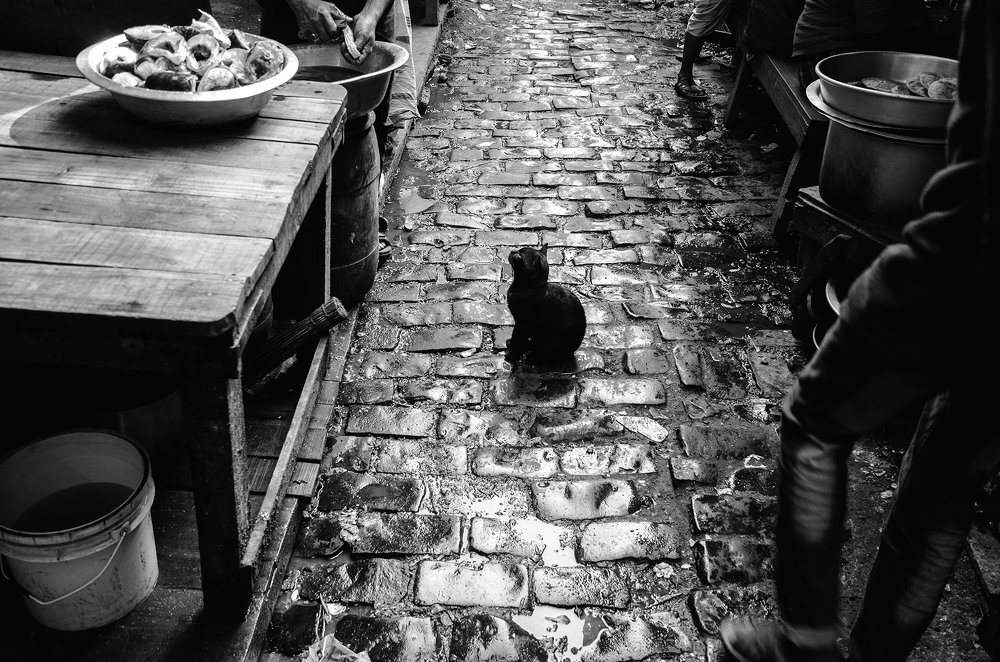 Photograph by Shivji Joshi