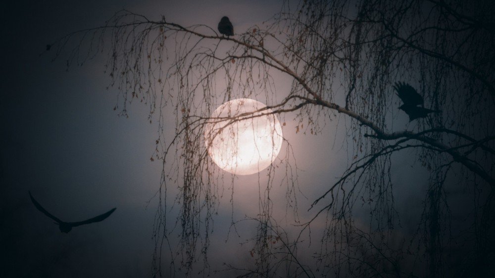 Фотография автора Владимир Фролов