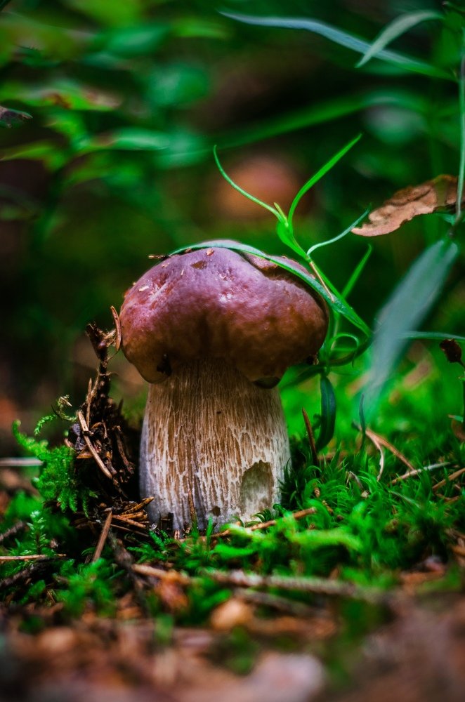 Photograph by Светлана Филипеня