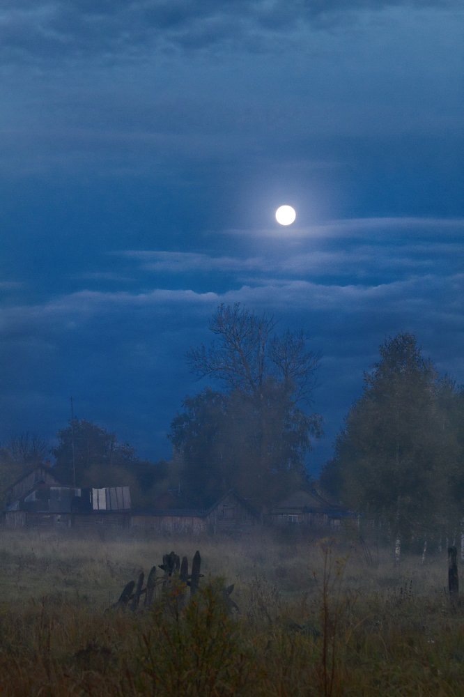 Photograph by Михаил Жиркин