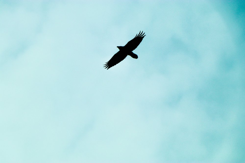 Photograph by Альфида
