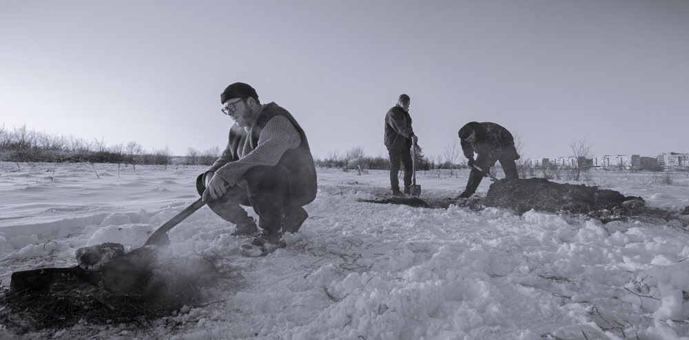 Photograph by Сергей Жердев