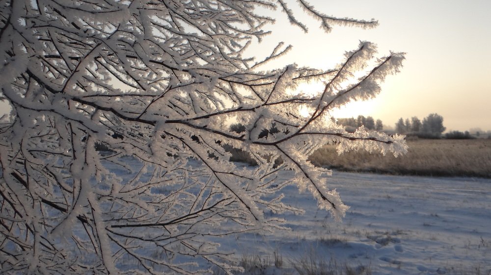 Photograph by Николай Яковлев