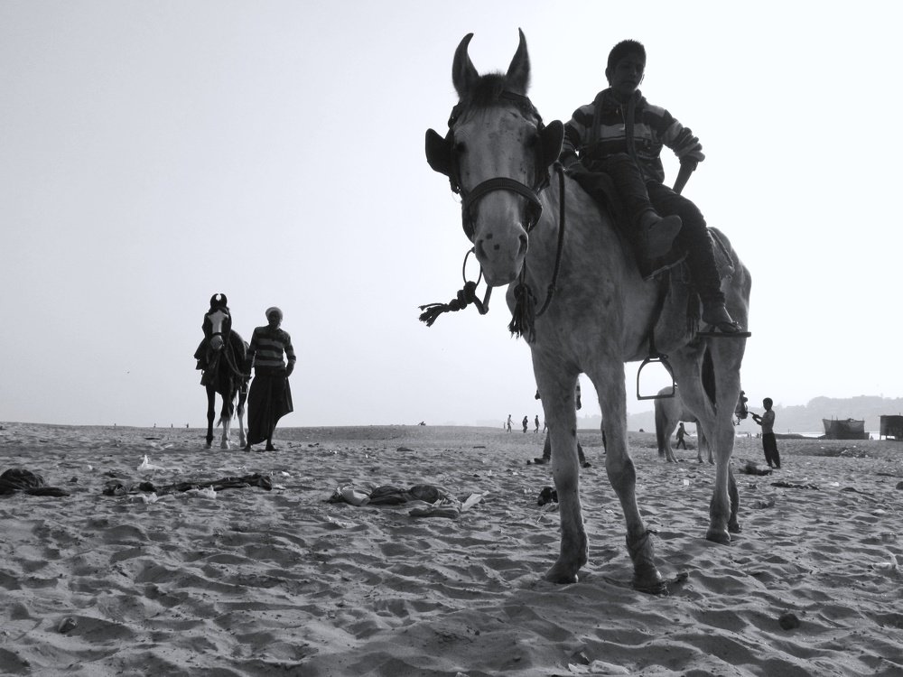 Photograph by SHALINI KASHYAP