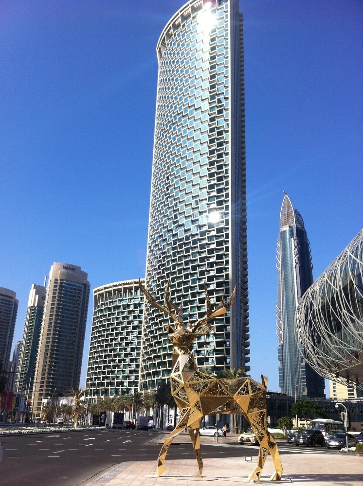 олень в пустыне