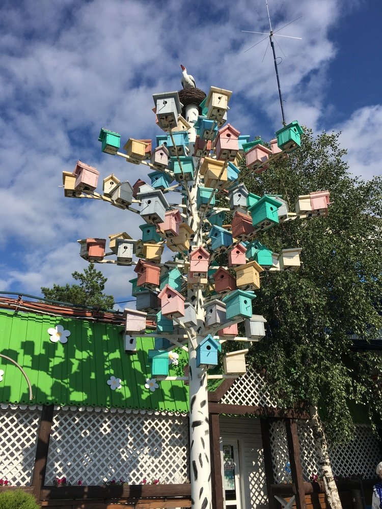 под крылом аиста