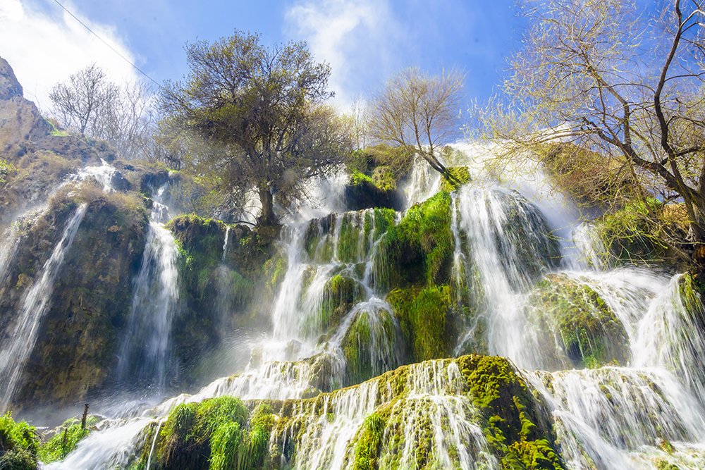 Фотография автора Majid Varasteh