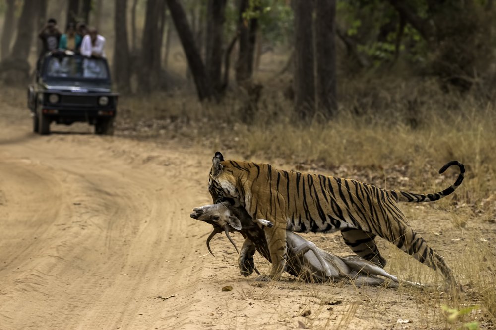 Photograph by Abhaya Shukla