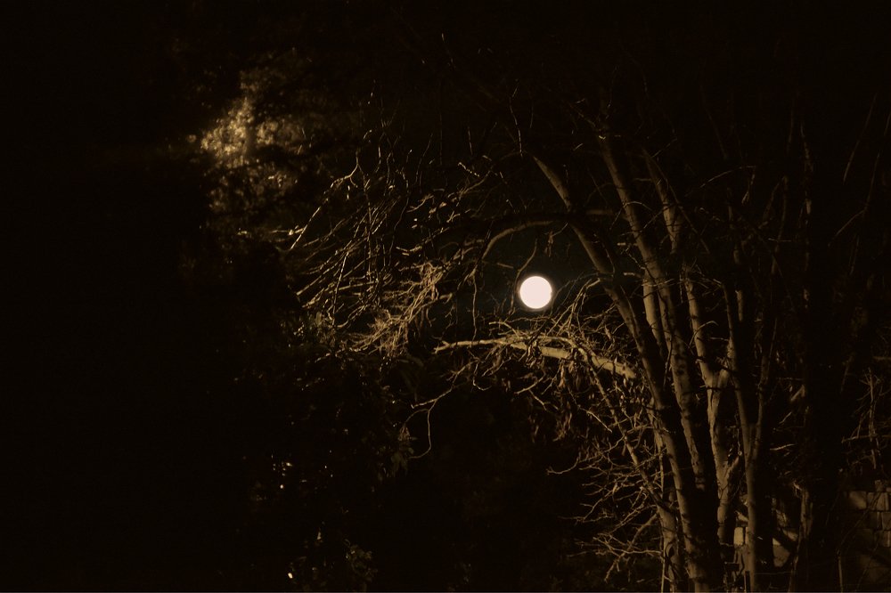 Photograph by Nopi Ranti