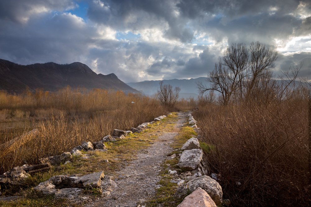 Photograph by Ekaterina Berendykhina