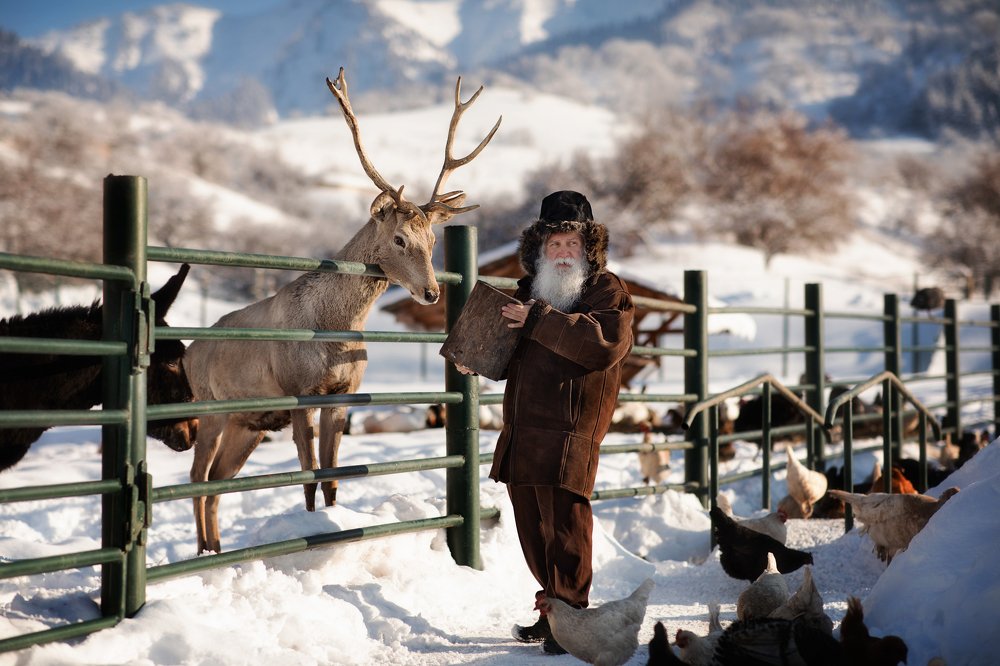 Ежедневные хлопаты