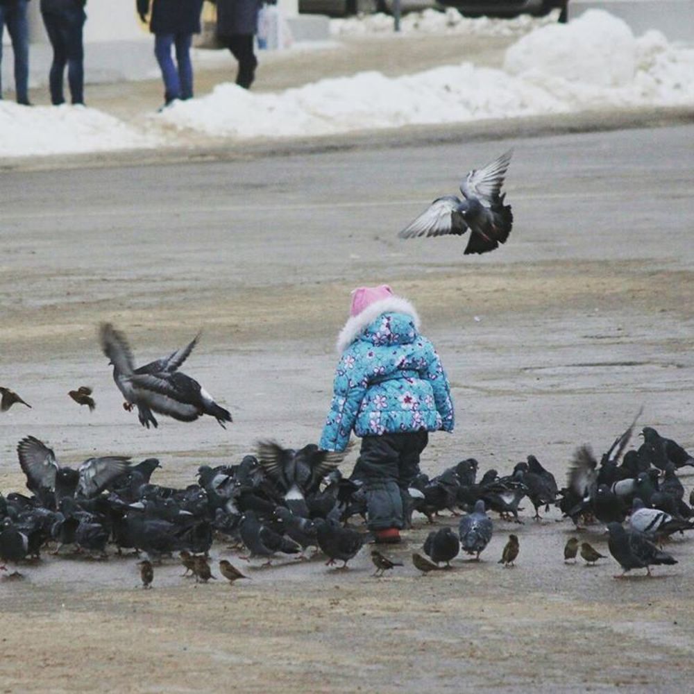 Photograph by Елена Верховская