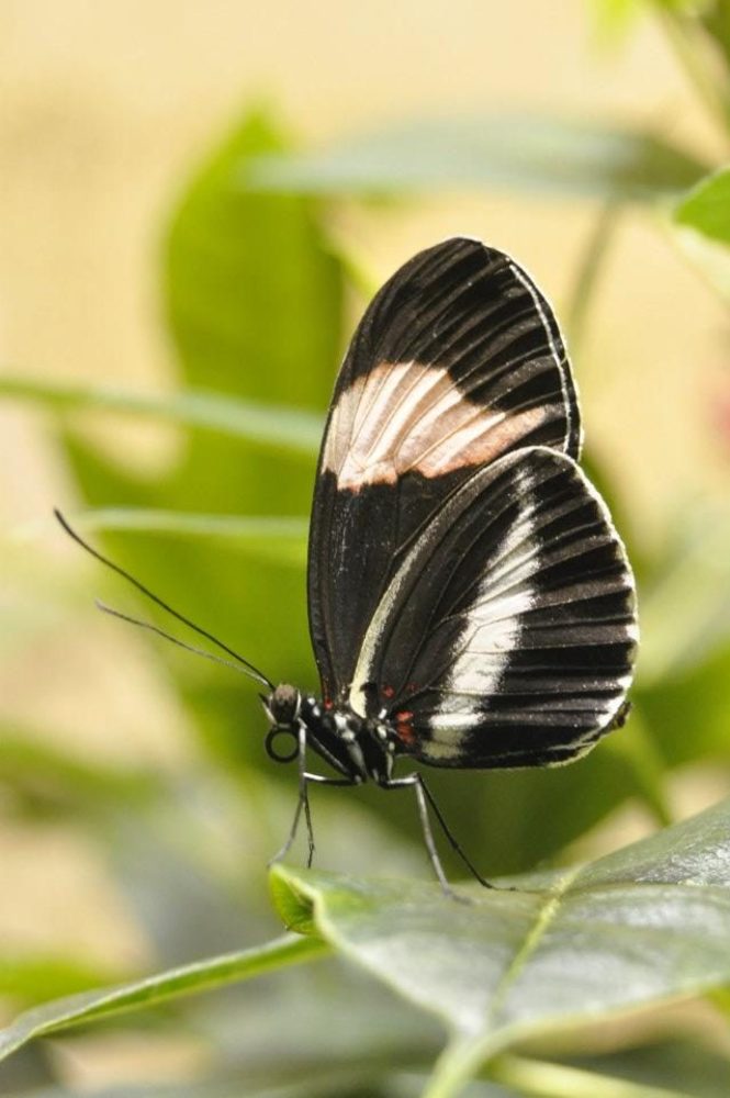 Photograph by İbrahim Bilen