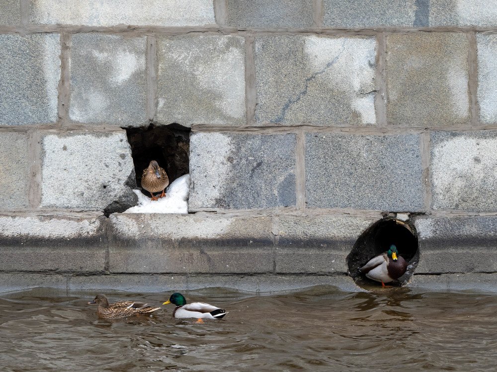 Photograph by Леонид Самойлов