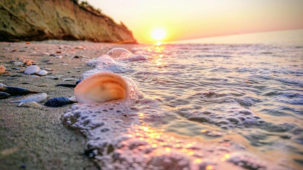 Фотография автора Max Evstafyev