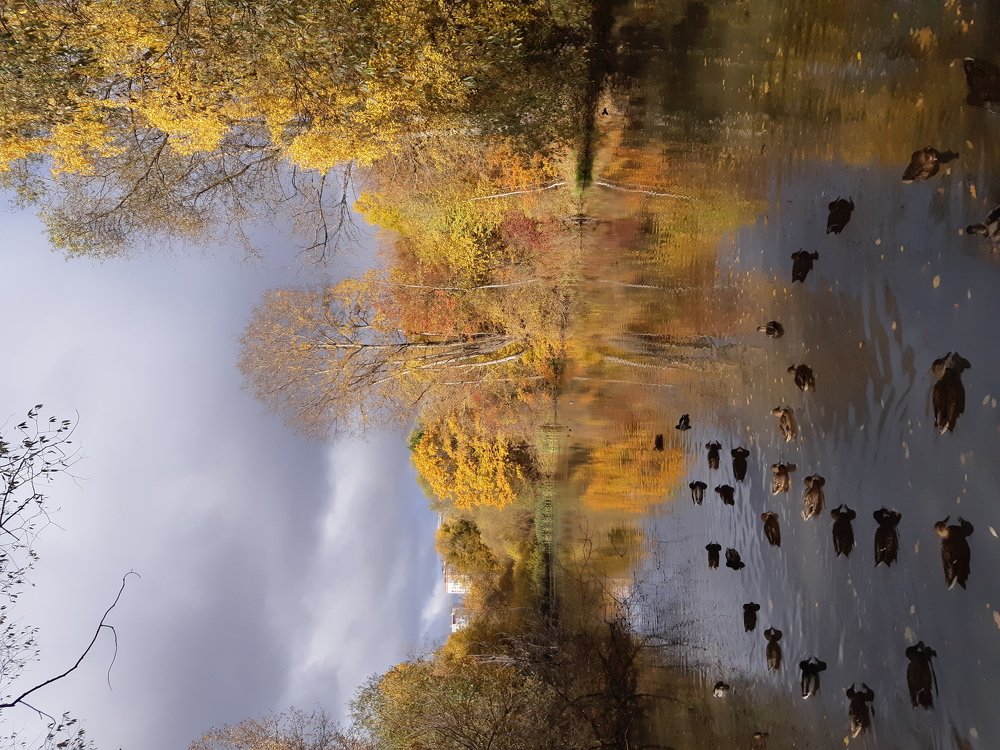 Photograph by Larisa Rostova