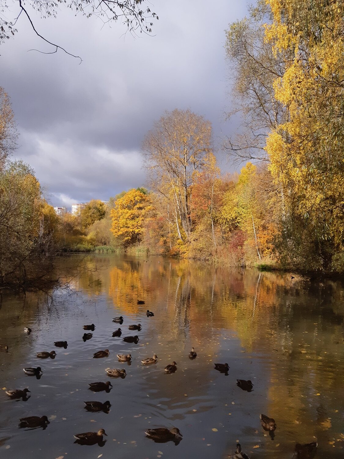 Photo #4312651