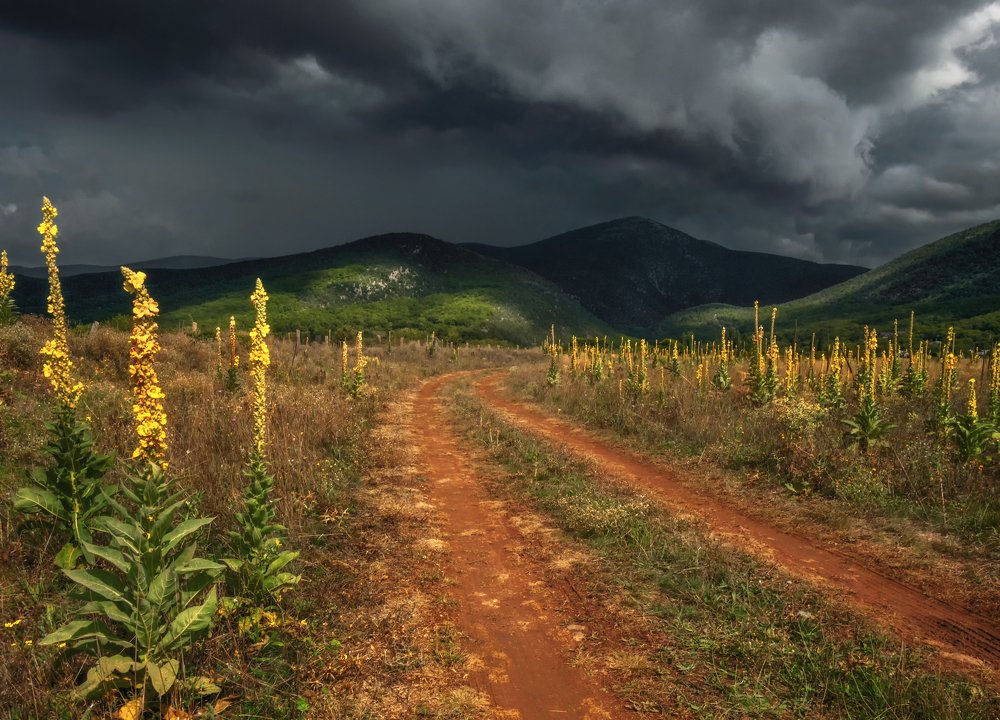 Приближение грозы