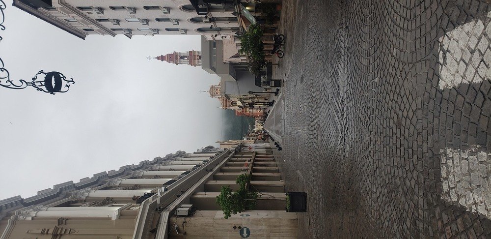 Photo #4312911