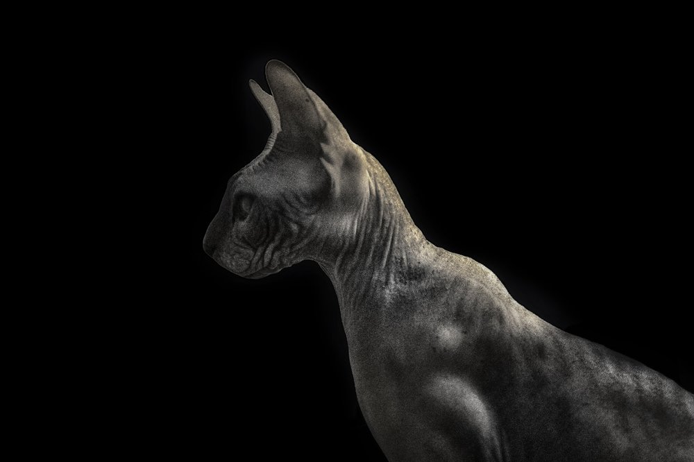 Photograph by Марина Кожевникова