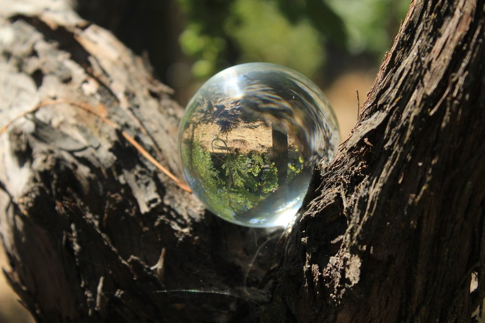 Photograph by Joyadita Soto