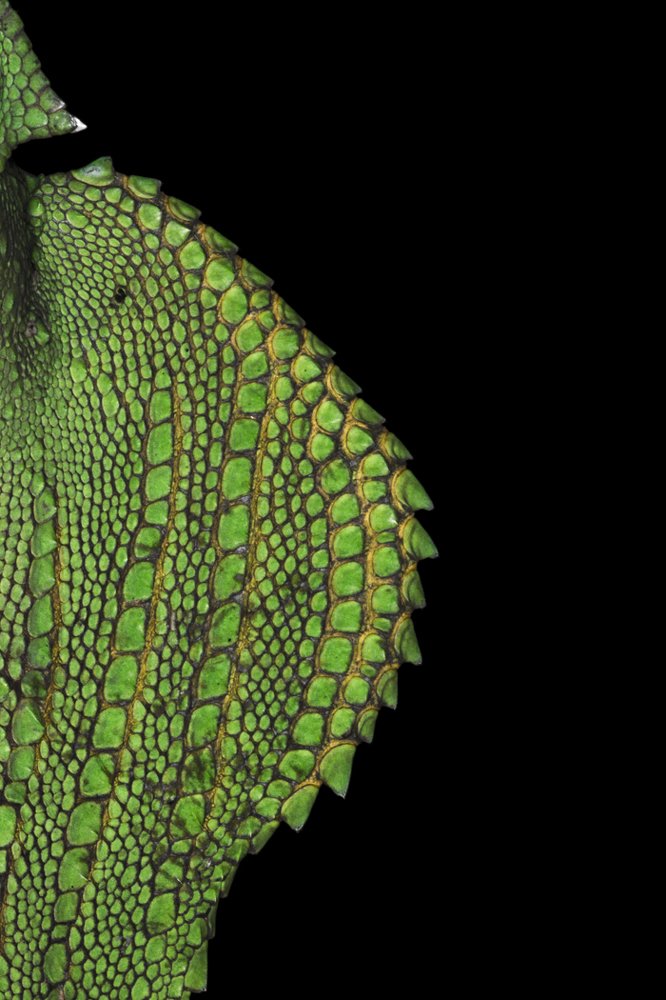 Photograph by Iranga Paranagama