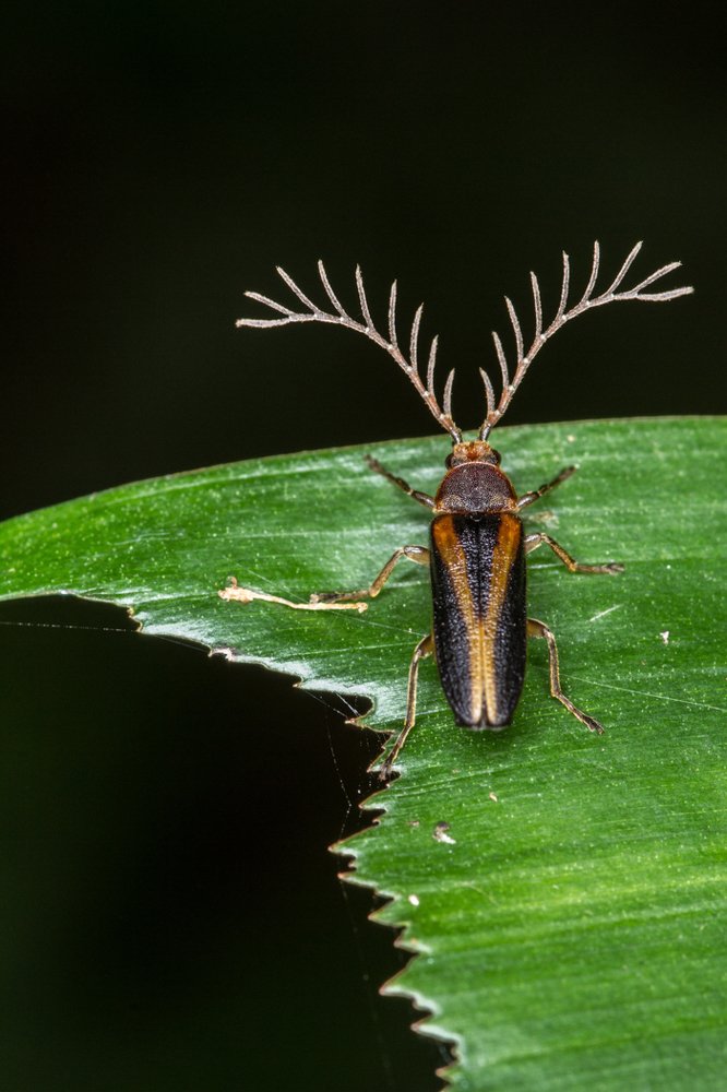 Photograph by Iranga Paranagama