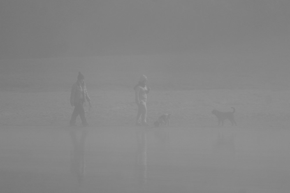 Фотография автора Maliyadewa Wadupola