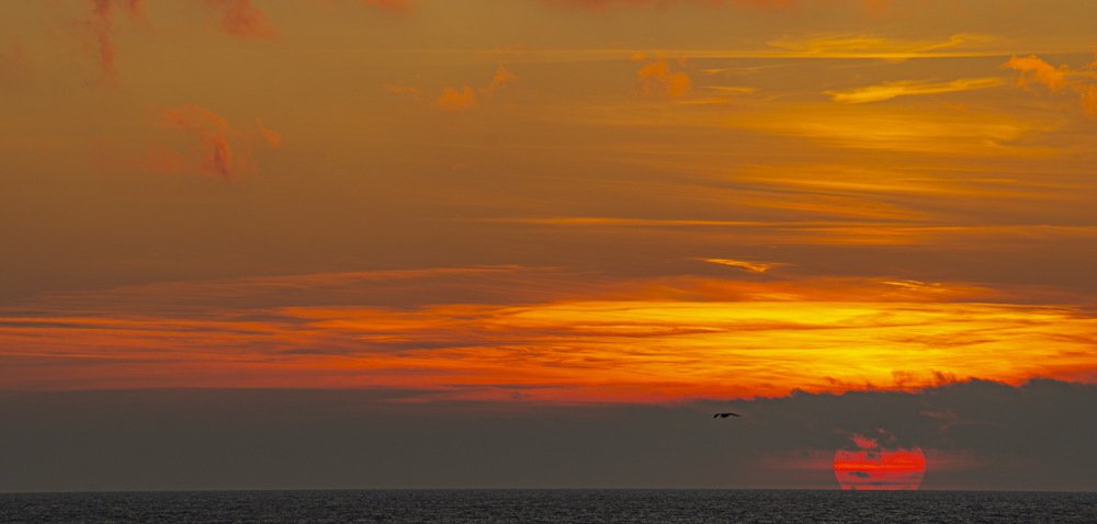 Photograph by Василий Малыш