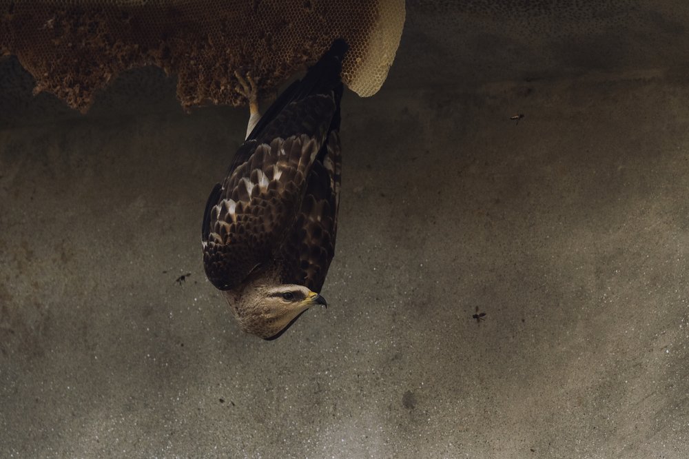 Photograph by Shuvam Nath