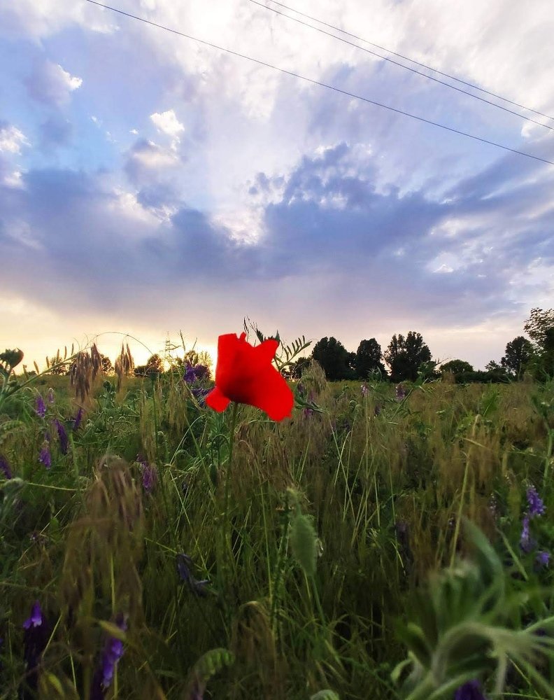 Photograph by Наталья