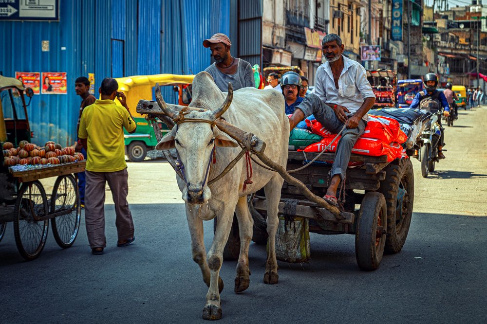 Photograph by Александр Балберов