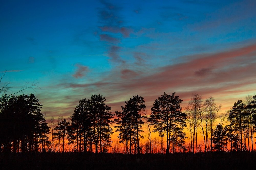 Фотография автора Евгений Подгорнов