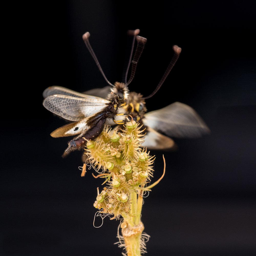 Photograph by Игорь ФУММ