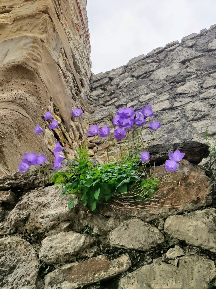 Photograph by Наталья