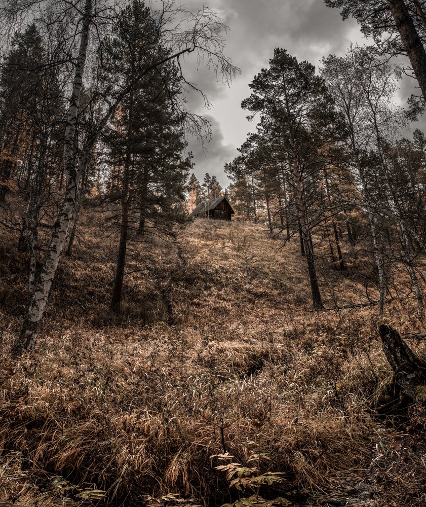 Домик лесника