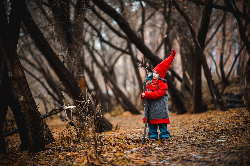 В поисках сказки