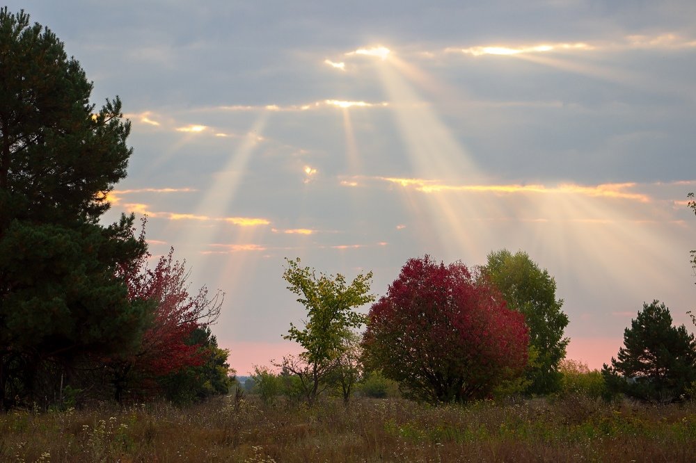 Фотография автора Евгений Подгорнов