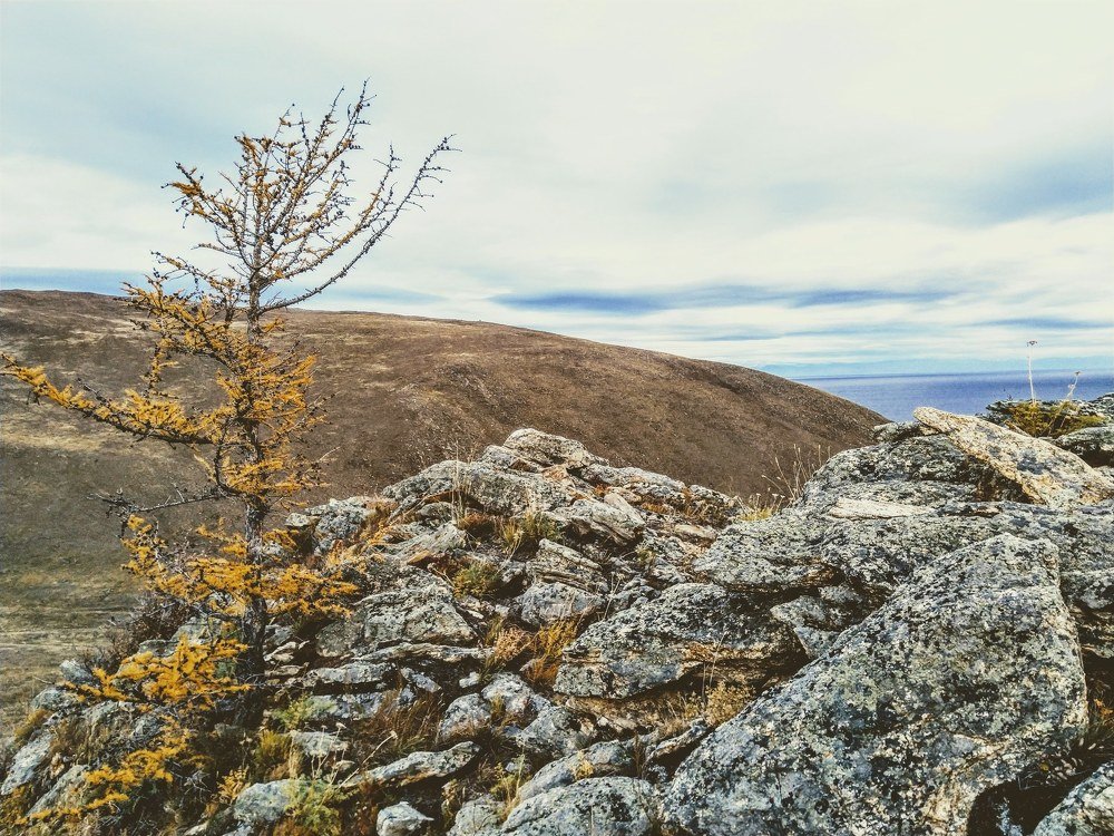 Photograph by Иван Фокин