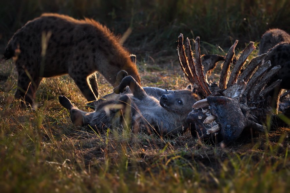 Смешно и грустно...