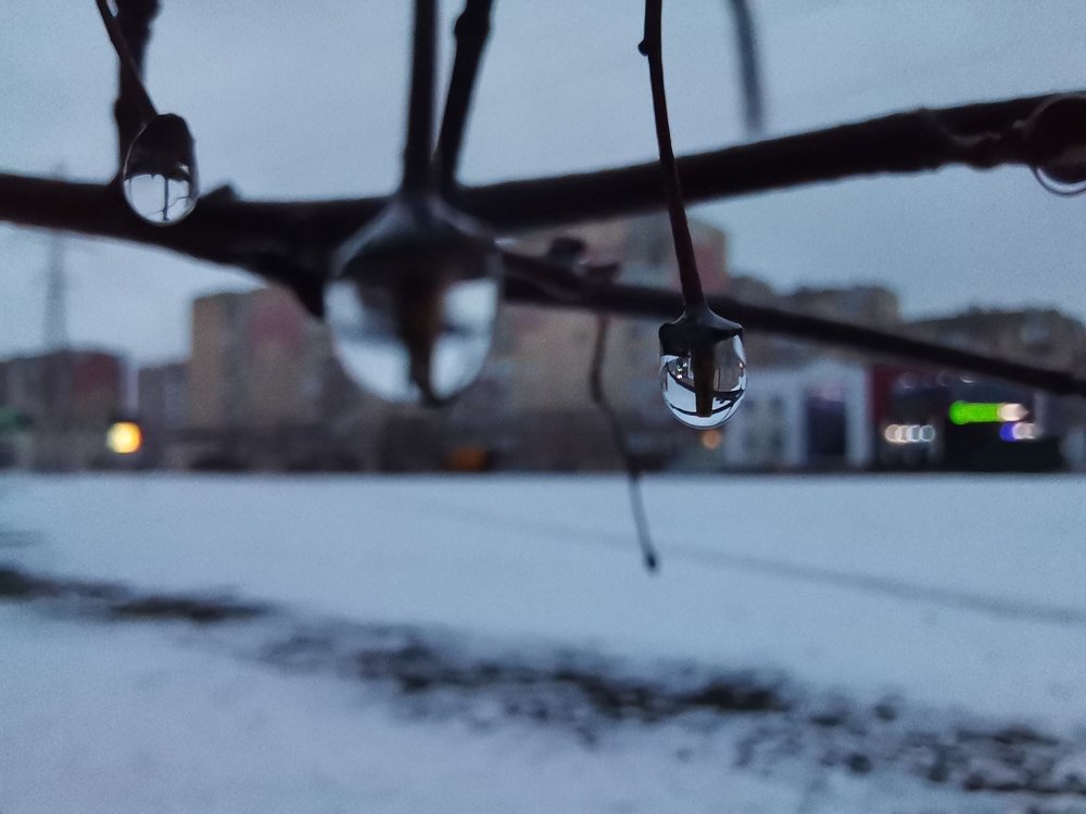 Фотография автора Ян Пчельников