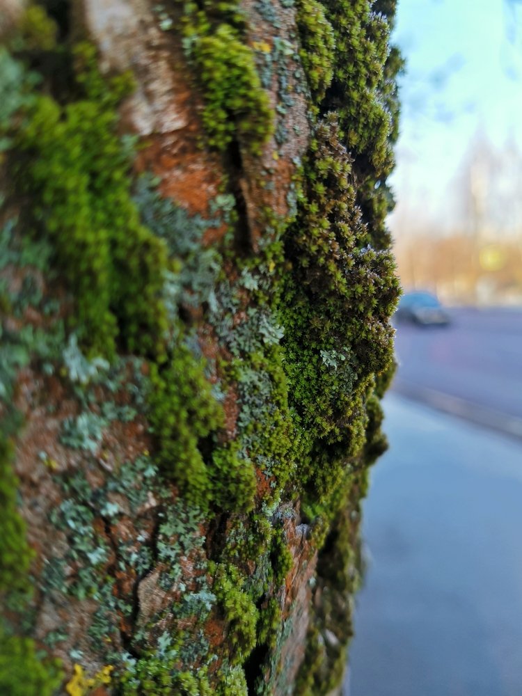 Фотография автора Ян Пчельников