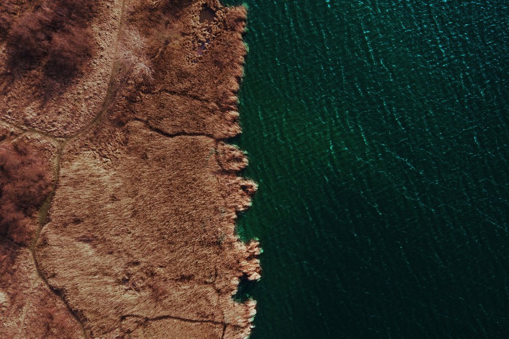 Photograph by Назар Васильчук